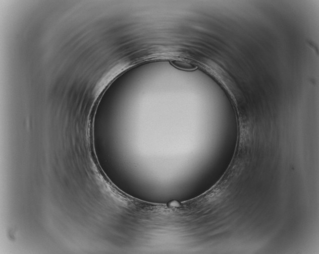 X0000102371050200808081148