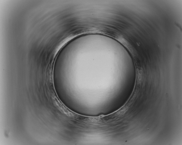 X0000102371052200808081148