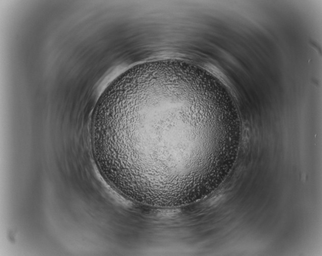 X0000102371055200808081148