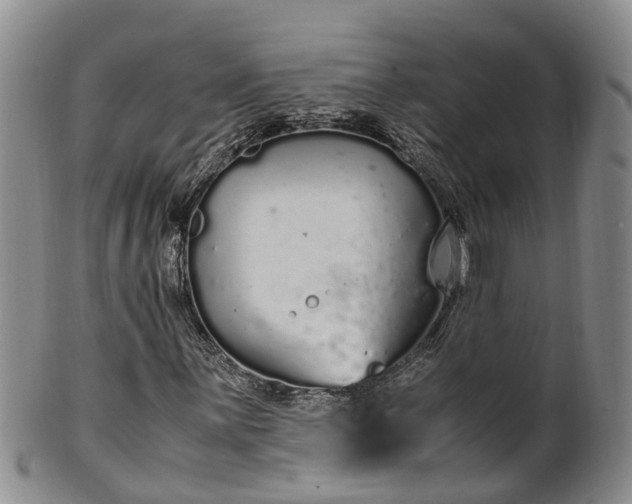 X0000102371059200808081147