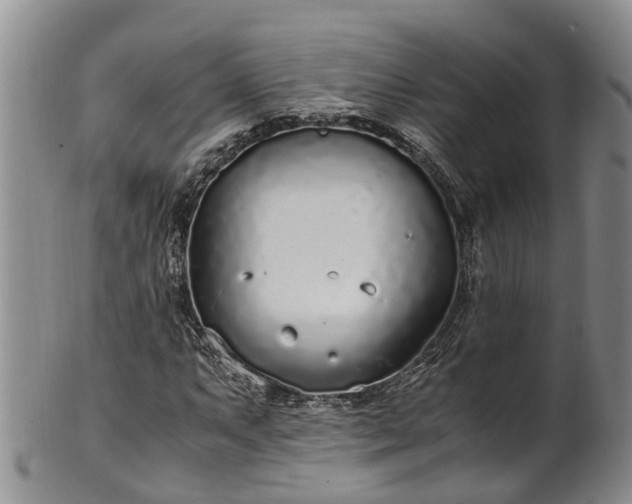 X0000102371063200808081147