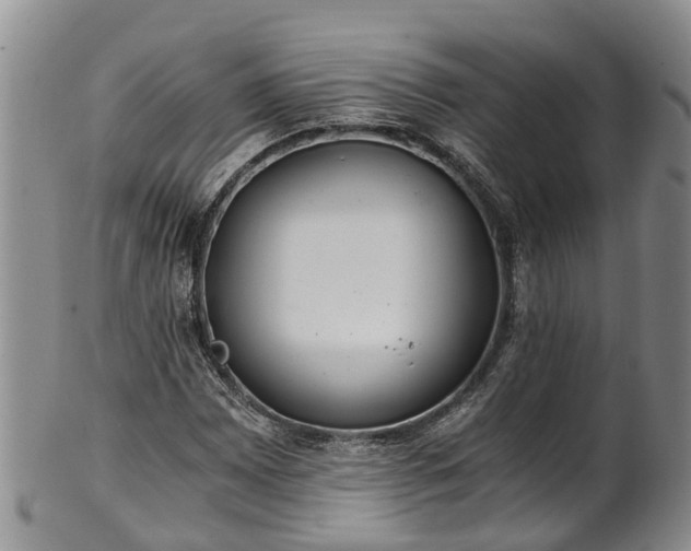 X0000102371065200808081147