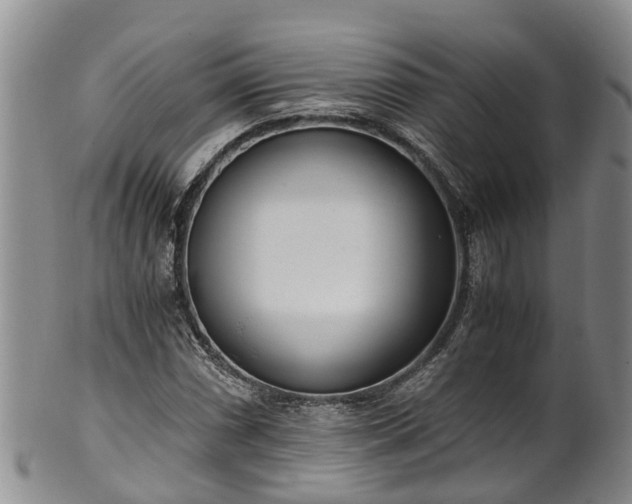 X0000102371066200808081147