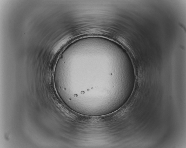 X0000102371067200808081147