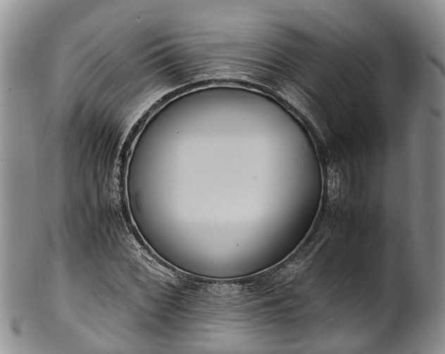 X0000102371068200808081147