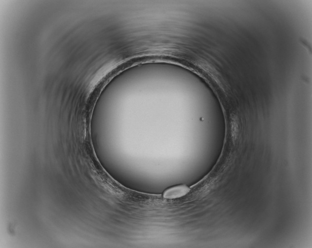 X0000102371069200808081147