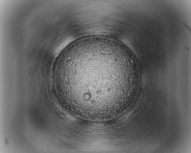 X0000102371071200808081147