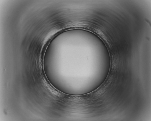 X0000102371072200808081147