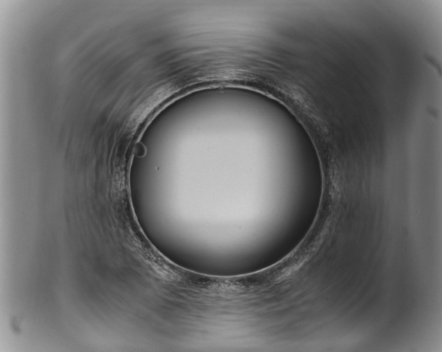 X0000102371073200808081147