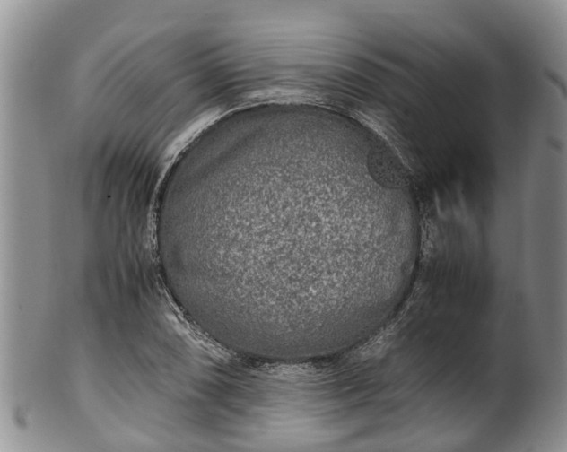 X0000102371074200808081147