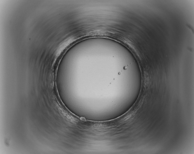 X0000102371075200808081147