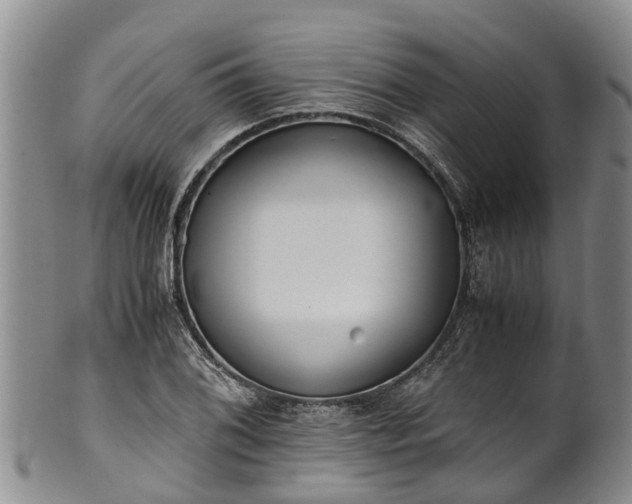 X0000102371076200808081147