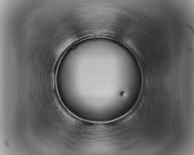 X0000102371079200808081147