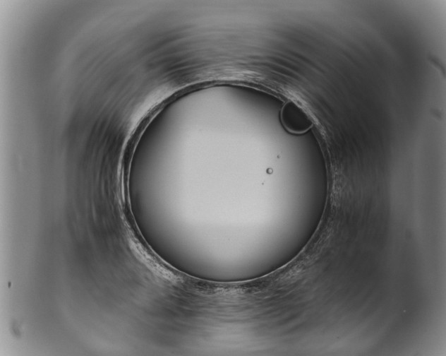 X0000102371080200808081147