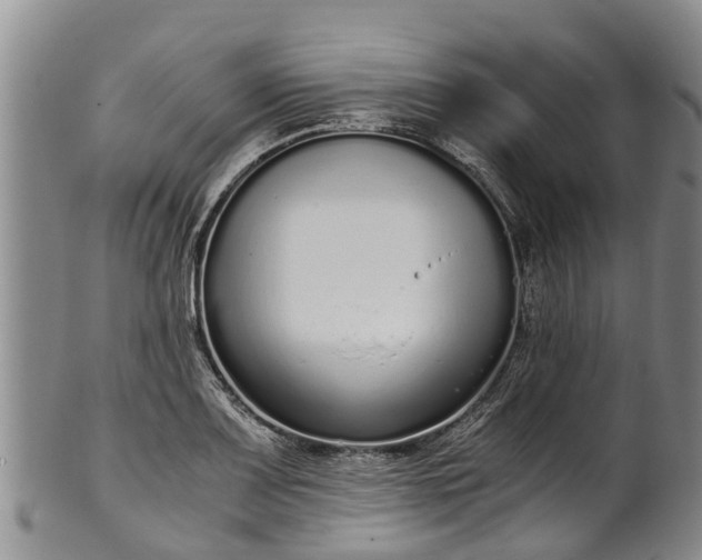 X0000102371083200808081147