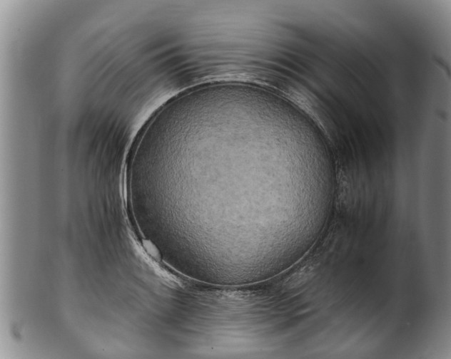 X0000102371084200808081147