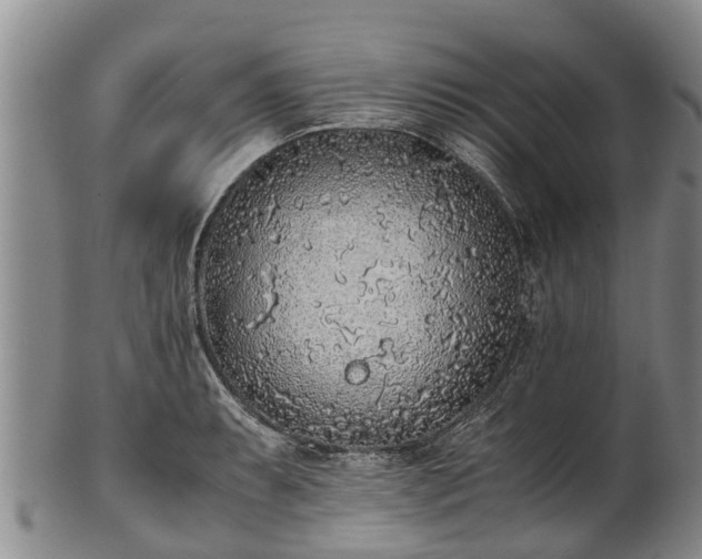 X0000102371087200808081147