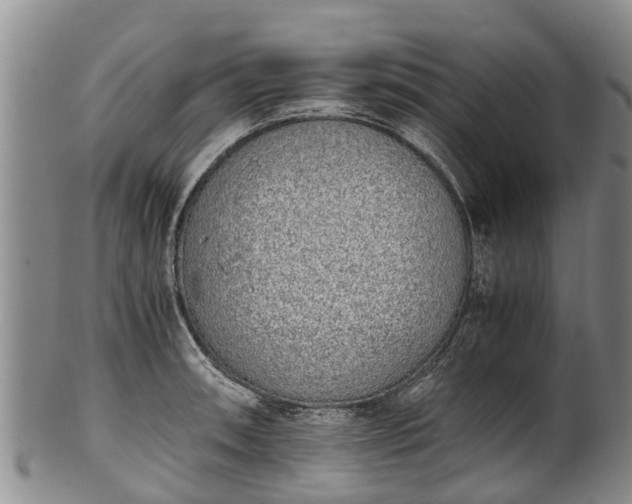 X0000102371090200808081147