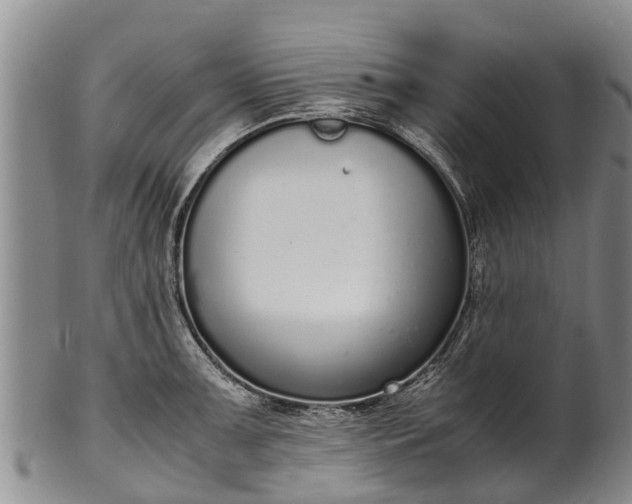 X0000102371091200808081147