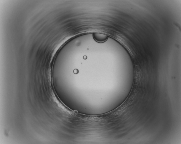 X0000102371092200808081147