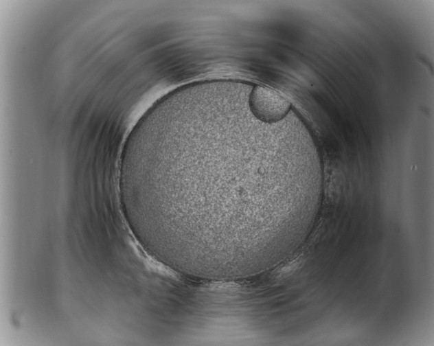 X0000102371094200808081147