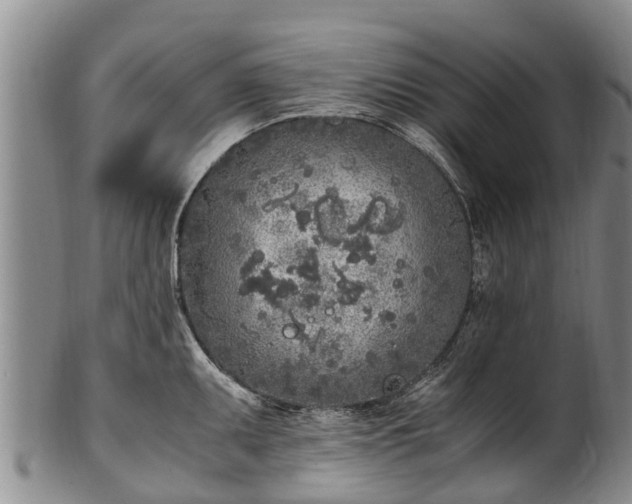 X0000102371095200808081147