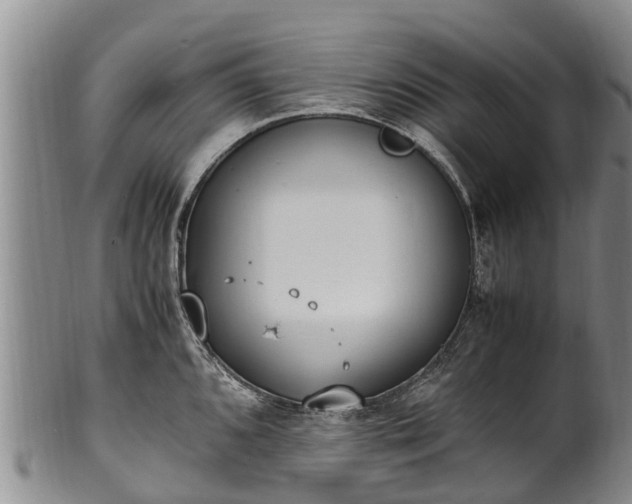 X0000102371096200808081147