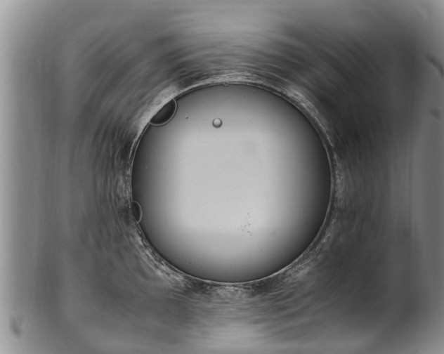 X0000102371097200808081147