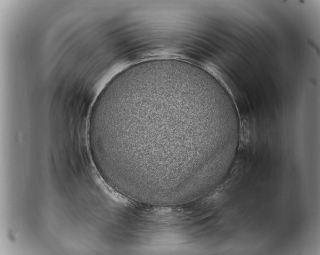 X0000102371098200808081147