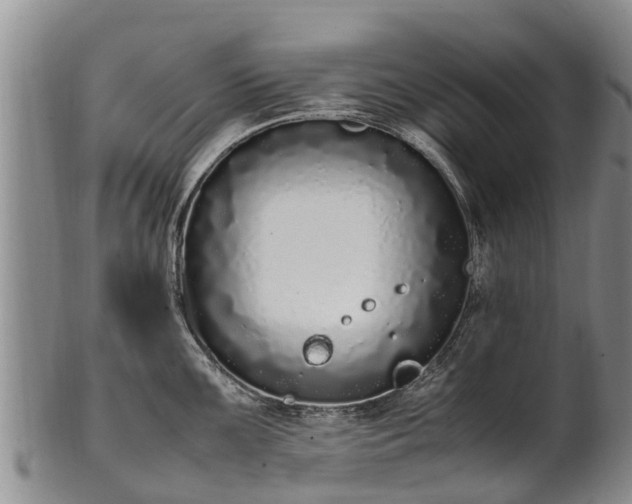 X0000102371099200808081147