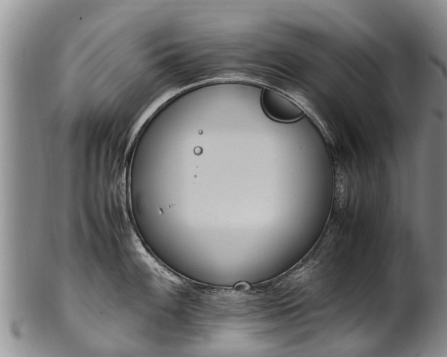 X0000102371100200808081147