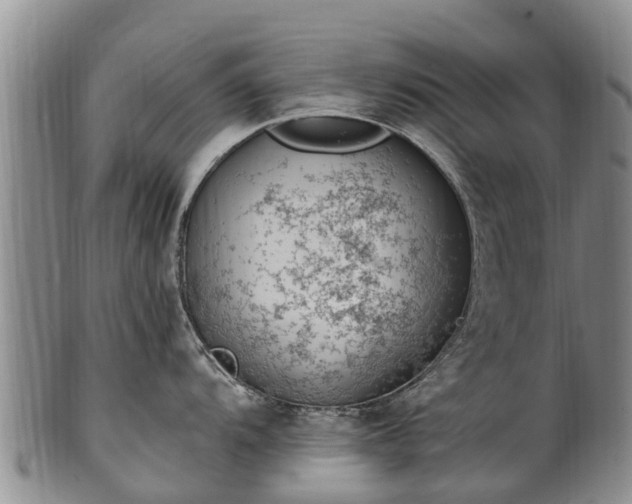 X0000102371104200808081147