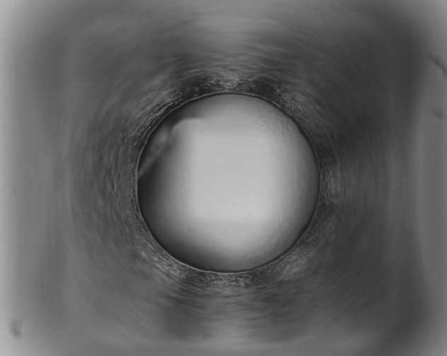 X0000102371105200808081146