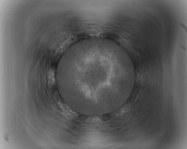 X0000102371106200808081146