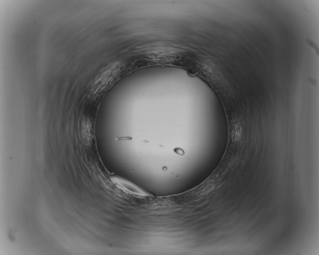 X0000102371108200808081146