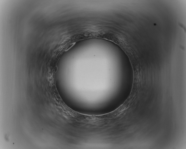 X0000102371109200808081146