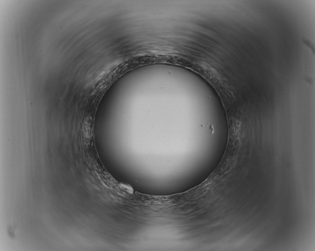 X0000102371110200808081146