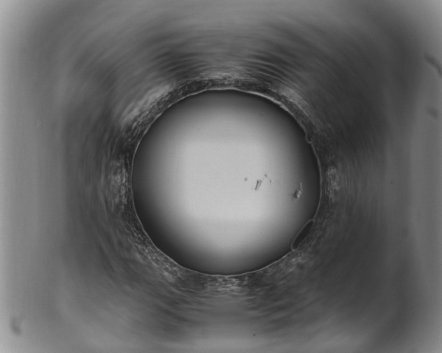 X0000102371111200808081146