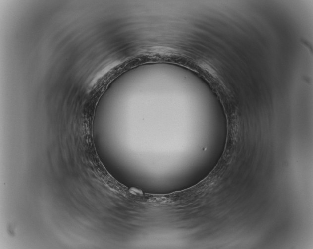 X0000102371112200808081146