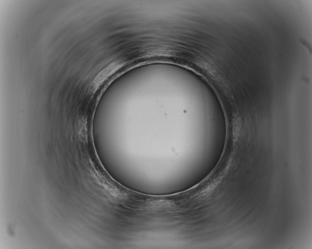 X0000102371113200808081146