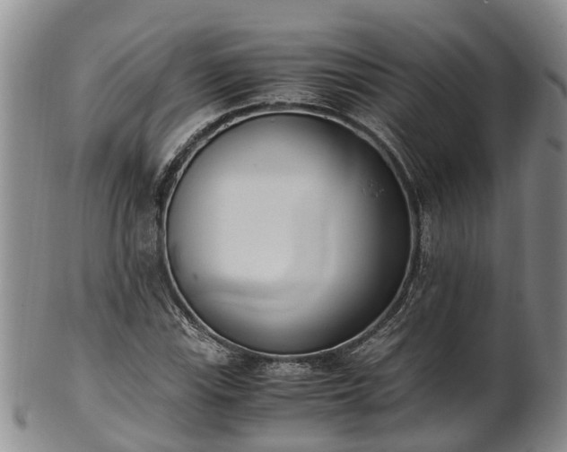 X0000102371115200808081146