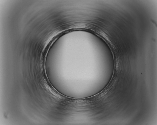 X0000102371116200808081146