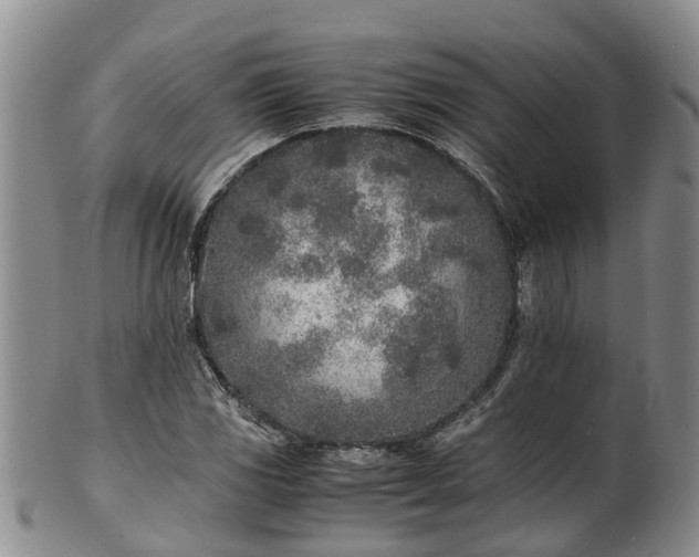 X0000102371117200808081146