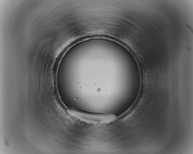 X0000102371118200808081146