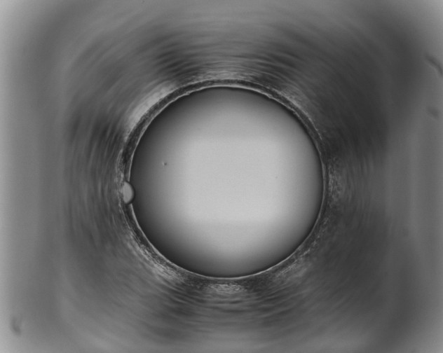 X0000102371119200808081146