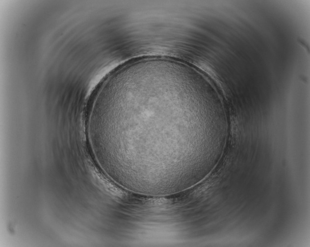 X0000102371120200808081146