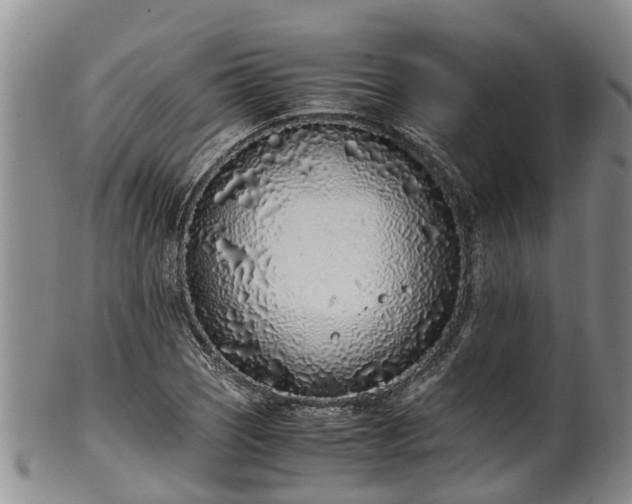 X0000102371121200808081146