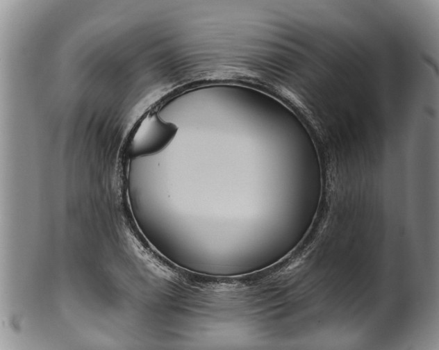 X0000102371122200808081146