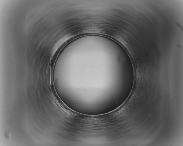 X0000102371123200808081146