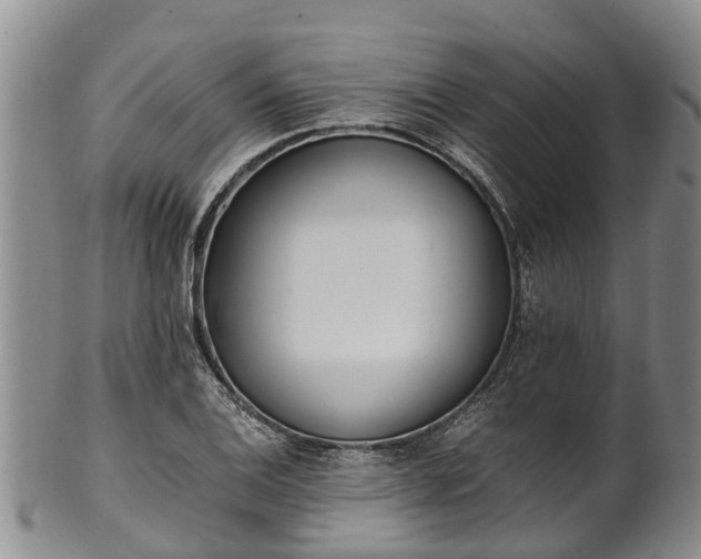 X0000102371124200808081146